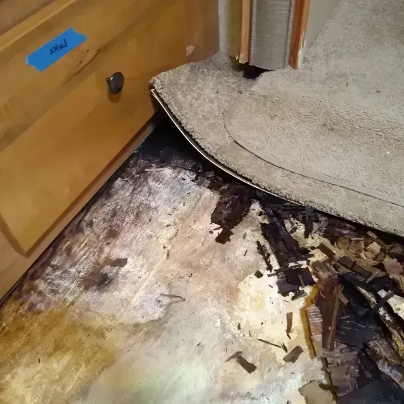 Wood Floor Water Damage in Coleman, TX